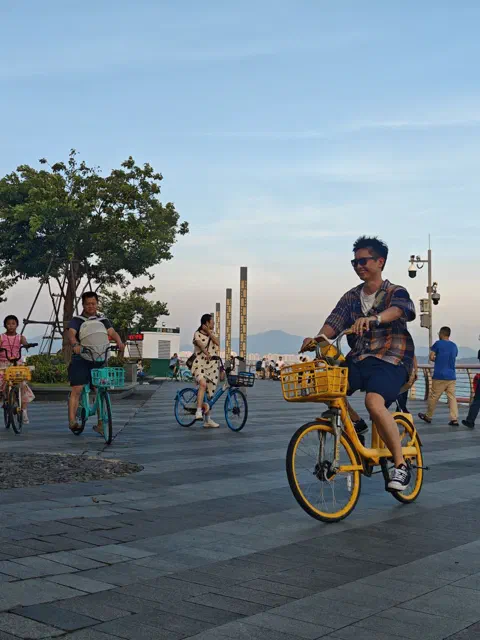 Shenzhen Bay Outing
